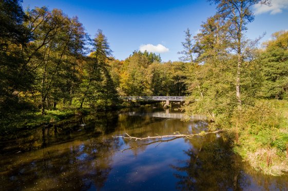 TONI Design Luftaufnahme - Waldnaabtal